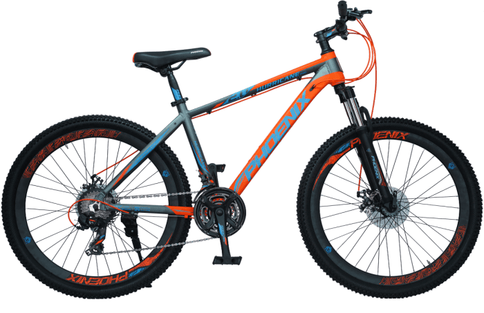 Phoenix MTB Raptor 29
